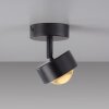 Schöner Wohnen-Kollektion KULU LED plafón de techo giratorio 3000 Kelvin 450 Lumen 4,8 Watt