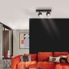 SCHÖNER WOHNEN-Kollektion KULU LED foco de techo de 2 luces orientable para salón