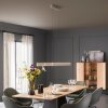 SCHÖNER WOHNEN-Kollektion ADRIANA ROUND LED lámpara colgante lineal, 2 luces