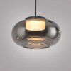 SCHÖNER WOHNEN-Kollektion SIA LED lámpara colgante regulable en altura, 20 cm de largo, 3000 K, 680 lm, 4,5 W