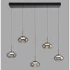 SCHÖNER WOHNEN-Kollektion SIA lámpara colgante LED 5 luces 3000 Kelvin 950 lúmenes 6 vatios