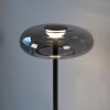 SCHÖNER WOHNEN-Kollektion POSH lámpara de sobremesa LED moderna 3000 K 1400 lm 7,4 W