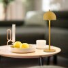 BELLIS SCHÖNER WOHNEN-Kollektion lámpara de mesa LED táctil moderna escandinava