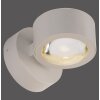 SCHÖNER WOHNEN-Kollektion CHIA LED aplique de pared de 2 luces 3000 K 220 lm 2 W
