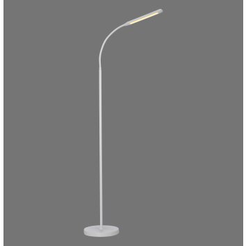 Paul Neuhaus lámpara de pie LED ELLY ajustable, temperatura de color regulable 3000 Kelvin