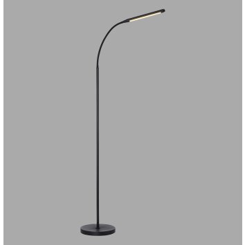 Paul Neuhaus lámpara de pie LED ELLY, temperatura de color regulable 2700-5000 Kelvin
