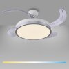 Leuchten Direkt ventilador de techo LED KOPTA temperatura de color regulable 3000-6000 Kelvin