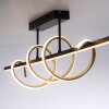Leuchten Direkt Plafón LED Emanda moderno, curvas color latón, luz cálida 3000 Kelvin
