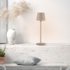 Leuchten Direkt lámpara de mesa BOTERIA LED 3000 Kelvin cálida con pantalla inclinable