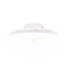 Reality Ventilador de techo LED Pajala, temperatura de color regulable 2700-6500 Kelvin