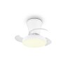 Reality ventilador de techo Moss, LED, temperatura de color regulable 2700-6500 Kelvin