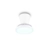 Reality ventilador de techo Moss, LED, temperatura de color regulable 2700-6500 Kelvin