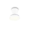 Reality ventilador de techo Moss, LED, temperatura de color regulable 2700-6500 Kelvin