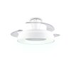 Reality Ventilador LED Vansbro, temperatura de color regulable 2700-6500 Kelvin