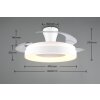 Reality Ventilador LED Vansbro, temperatura de color regulable 2700-6500 Kelvin