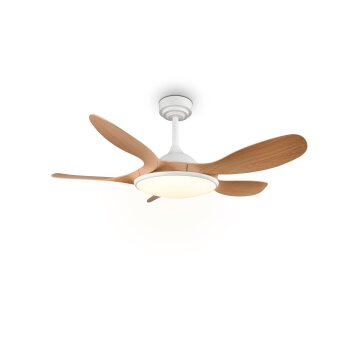 Reality Ventilador de techo LED Flen, temperatura de color regulable 2700-6500 Kelvin