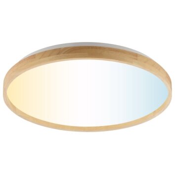 Brilliant plafón LED Alson, mando regulable, temperatura de color regulable 3000-6500 Kelvin