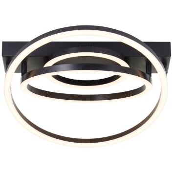 Brilliant plafón LED Pedley, aros concéntricos, pantalla negra, luz cálida 3000 Kelvin