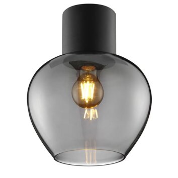 Brilliant Plafón Ligari moderno, con pantalla de vidrio ahumado en forma de gota