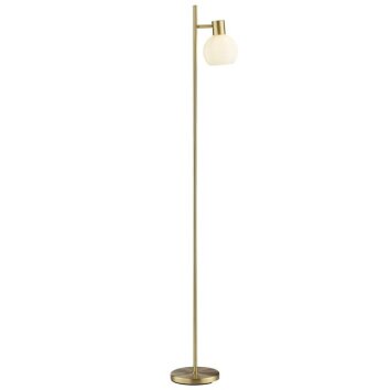 Brilliant Leuchten Lámpara de pie Cony con pantalla esférica blanca, foco orientable