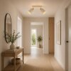 Brilliant Foco de techo doble Arlo, orientable, con pantallas cilíndricas beige