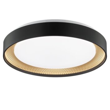 Brilliant plafón LED redondo Waldo, regulable con mando, luz ajustable 3000-6500 Kelvin
