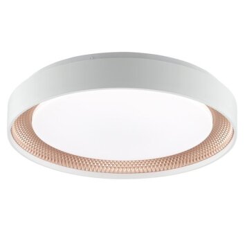 Brilliant Plafón LED Waldo blanco, regulable con mando, luz ajustable 3000-6500 Kelvin