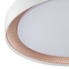 Brilliant Plafón LED redondo Waldo, temperatura de color regulable 3000-6500 Kelvin