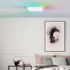 Brilliant Plafón LED cuadrado Tanida, dimable por mando, luz ajustable 3000-6500 Kelvin