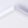 Brilliant Plafón LED cuadrado Tanida, dimable por mando, luz ajustable 3000-6500 Kelvin