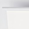 Brilliant Leuchten Plafón LED cuadrado Trevis moderno blanco, luz neutra de 4000 Kelvin