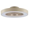 Brilliant Plafón LED Catania, RGB, luz ajustable 2700-6500 Kelvin, regulable con mando