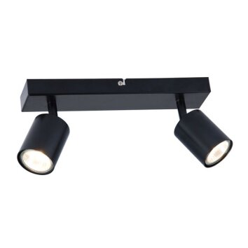 Brilliant Leuchten Foco de techo doble Ecco con cabezales cilíndricos orientables