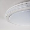 BERMEO Lámpara de Techo LED Blanca, 2 luces, Mando a distancia, Cambia de color
