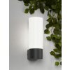 Cmd Aqua Wall Aplique Antracita, 1 luz