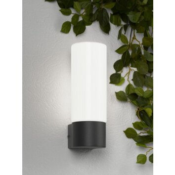 Cmd Aqua Wall Aplique Antracita, 1 luz