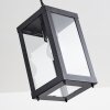 Caudry luminaria colgante para exteriores Negro, 1 luz