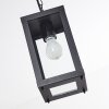 Caudry luminaria colgante para exteriores Negro, 1 luz