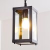 Caudry luminaria colgante para exteriores Negro, 1 luz