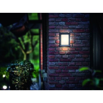 Philips Karp Aplique para exterior LED Antracita, 1 luz