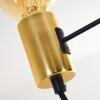 Gnarp Lámpara Colgante Negro-dorado, 5 luces