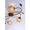 Paul Neuhaus GRETA Lámpara de Techo Color óxido, 4 luces