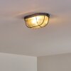 Catawba Lámpara de Techo Gris, 1 luz