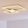 Narpes Lámpara de Techo LED Níquel-mate, 1 luz