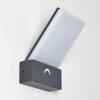 Heraklion Aplique para exterior LED Antracita, 1 luz