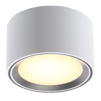 Nordlux FALLON Lámpara de Techo Acero inoxidable, 1 luz