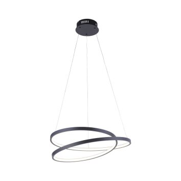 Paul Neuhaus ROMAN Lámpara Colgante LED Negro, 1 luz