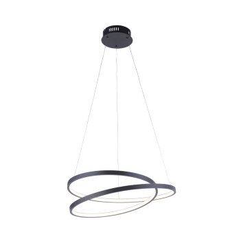 Paul Neuhaus ROMAN Lámpara Colgante LED Negro, 1 luz