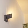 Bregenz Aplique para exterior LED Antracita, 1 luz