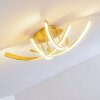 Lámpara de Techo Aranu LED dorado, 4 luces
